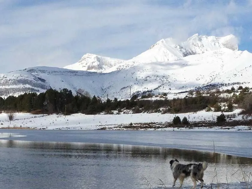 Gite Basse Correo La Freissinouse Holiday home